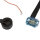 Statore alternatore per Kawasaki Z 900 1000 KZ900 Z1R # 21076-023