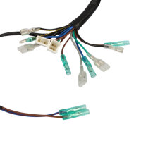 Cablaggio principale per Kawasaki H2 750 Mach # 26001-058