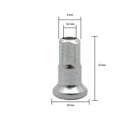 Set nippli per raggi zinco grezzo 3,5 mm