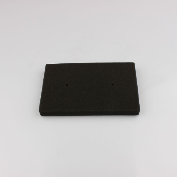 Luftfilter für Kawasaki Ninja 250 300 Z 300 2008-2017 11013-0020