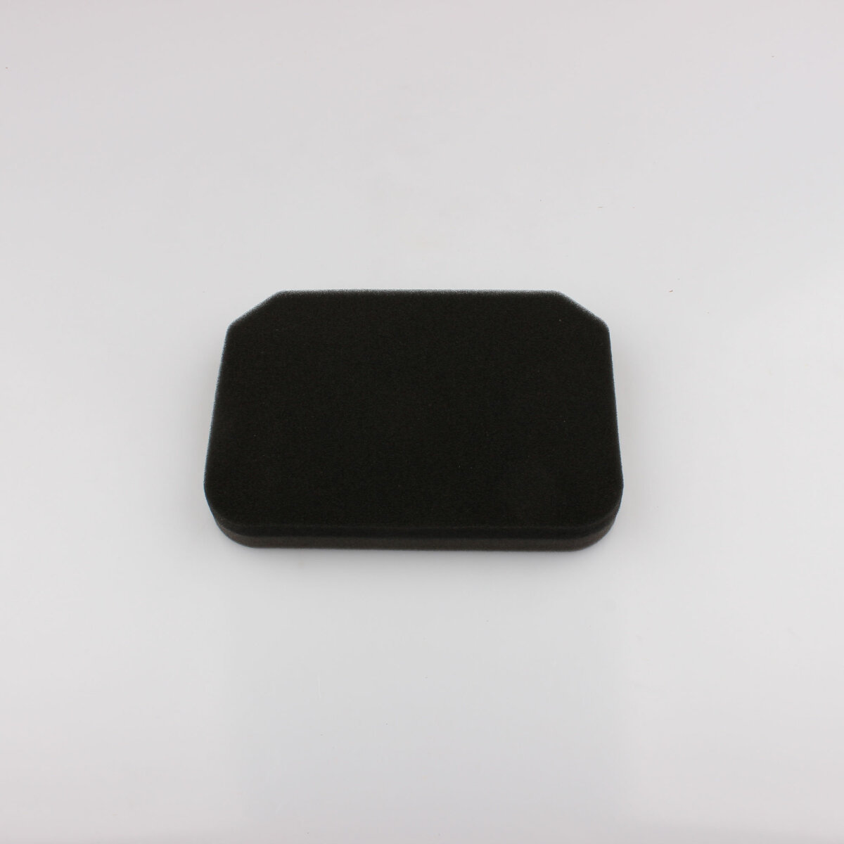 Filtro dell'aria per Suzuki AN 250 400 Burgman 98-06 13780-14F01