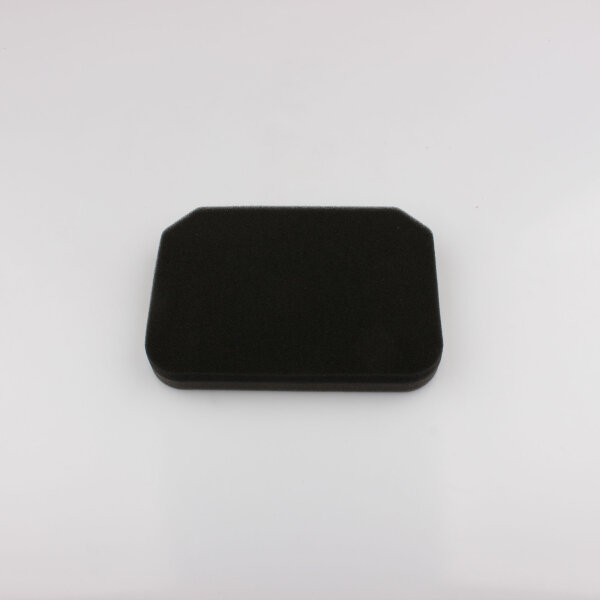 Filtro dellaria per Suzuki AN 250 400 Burgman 98-06 13780-14F01