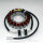 Alternatore Armatura Statore Generatore TMX per Yamaha XV 535 Virago # 1988-2003