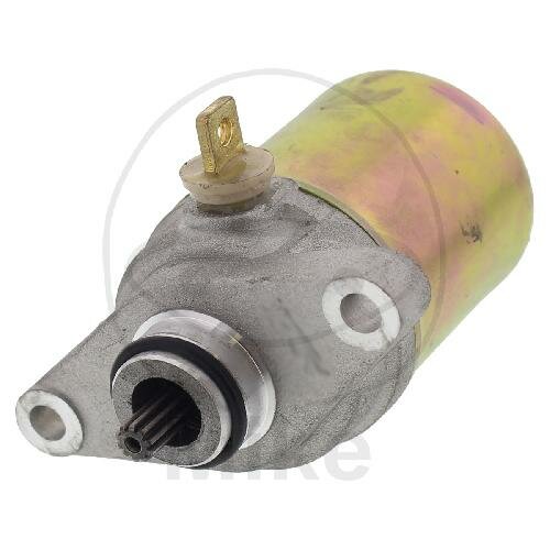 Starter complete for Flex Tech Cavallino City Leader Firenze Fun 25 50