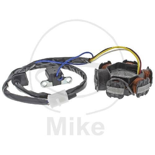 Alternatore Armatura Statore Generatore JMP per Peugeot 50 100 Sachs 50