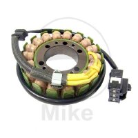 Lichtmaschine Anker Stator Generator TMX für...