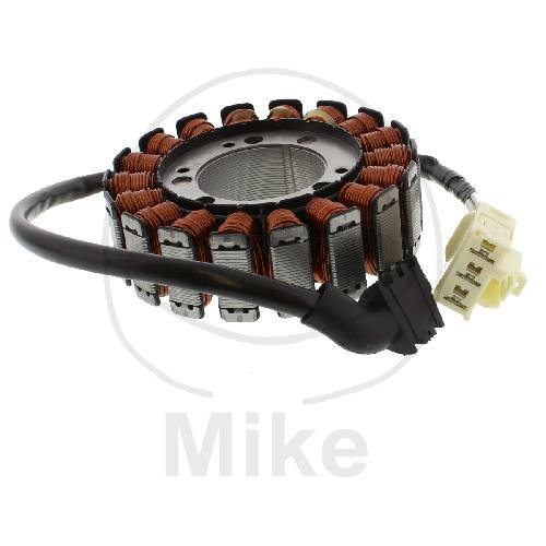 Alternatore Armatura Statore Generatore TMX per Yamaha FZS 1000 Fazer # 2001-2005