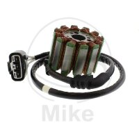 Alternatore Armatura Statore Generatore TMX per Yamaha...
