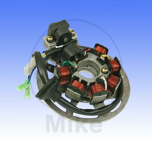 Alternator Armature Stator Generator for AGM CPI Generic Jonway Keeway Longjia Tauris