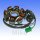 Alternatore Armatura Statore Generatore 8 Bobine per AGM Aiyumo Benzhou Flex Tech Jonway