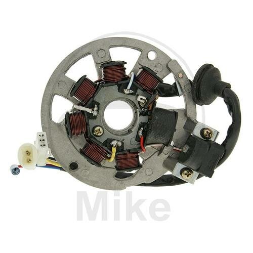 Alternatore Armatura Statore Generatore per AGM Generic Keeway Longjia MZ/MUZ Peugeot