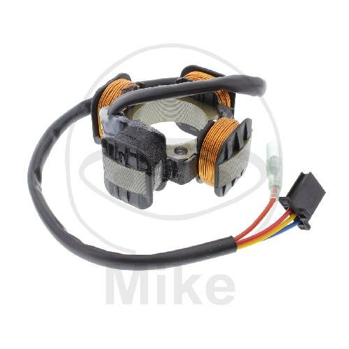 Alternatore Armatura Statore Generatore per Benelli Derbi Italjet Simson Suzuki 50