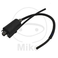 Zündspule Original für Suzuki RF 600 1993-1996...