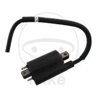 Ignition coil original for Suzuki VL 250 2005-2007 # VLR...