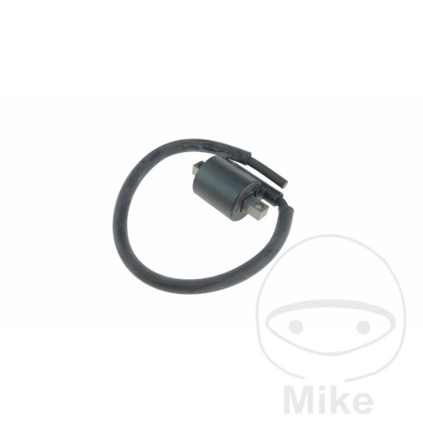 Bobine dallumage originale pour Yamaha YFM 350 Bruin Grizzly Warrior Wolverine