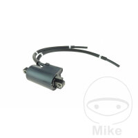 Bobine dallumage 12V originale pour Yamaha FZ6 600 #...