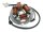 Alternatore Armatura Statore Generatore per Simson 50 70 80