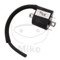Bobina daccensione Tourmax per Suzuki DL 1000 V-Strom...