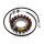 Alternatore Armatura Statore Generatore TMX per Yamaha XVS 650 # 1997-2003