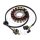 Alternatore Armatura Statore Generatore TMX per Suzuki GZ 250 Marauder # 1999-2008