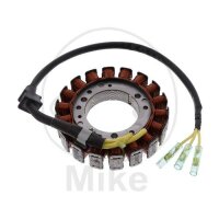 Lichtmaschine Anker Stator Generator TMX für...