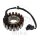 Alternatore Armatura Statore Generatore JMP per Honda CBR 600 # 2001-2007