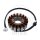 Alternatore Armatura Statore Generatore JMP per Honda CBR 600 F # 1999-2000