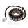 Alternatore Armatura Statore Generatore JMP per Honda CBR 600 RR # 2003-2006