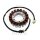 Alternatore Armatura Statore Generatore JMP per Honda VTR 1000 Firestorm # 1997-2006
