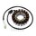 Alternatore Armatura Statore Generatore JMP per Yamaha XV 1600 Wild Star A # 1999-2004