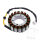 Alternatore Armatura Statore Generatore JMP per Honda VT 1100 Shadow # 1995-2000