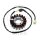 Lichtmaschine Anker Stator Generator JMP für Honda CBR 1100 1997-1998 # VF 750 1993-2000