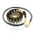 Alternatore Armatura Statore Generatore JMP per Honda CBR 900 Fireblade RR # 1992-1995
