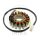 Alternatore Armatura Statore Generatore JMP per Honda VFR 800 F1 # 1998-2000