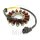 Alternatore Armatura Statore Generatore JMP per Honda CBR 600 RR # 2007-2012