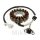 Alternatore Armatura Statore Generatore JMP per MBK YP 125 Yamaha VP YP 125
