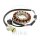 Alternator Armature Stator Generator JMP for Yamaha YFM 350 R Raptor Warrior