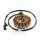 Alternatore Armatura Statore Generatore JMP per Suzuki AN 250 400 Burgman # 2003-2006