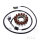 Alternatore Armatura Statore Generatore JMP per YFM 550 700 Grizzly YFM 700 Kodiak