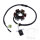 Alternator Armature Stator Generator JMP for Kymco Maxxer 50 # 2007-2017