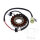 Alternatore Armatura Statore Generatore JMP per Yamaha YFM 250 R # 2008-2014