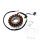 Statore dellalternatore JMP per Suzuki DL 650 2004-2010 # SV 650 2003-2016