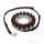Alternator Armature Stator Generator JMP for Triumph TT 600 # 2000-2003