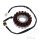 Alternatore Armatura Statore Generatore JMP per Honda NES SES SH 125 150