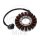 Alternatore Armatura Statore Generatore JMP per Honda CBR 1000 Fireblade RR # 2006-2007