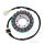 Lichtmaschine Anker Stator Generator JMP für Kawasaki ER-6 650 05-11 # KLE 650 07-14