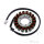 Lichtmaschine Anker Stator Generator JMP für Kawasaki ER-6 650 05-11 # KLE 650 07-14