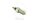 Interruttore del minimo Ricambio originale per Husqvarna SMR 125 4T Yamaha MT WR YZF-R 125 A ABS