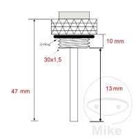 Mesure directe de la température de lhuile pour Kawasaki ZX-9R 900 ZX-12R 1200