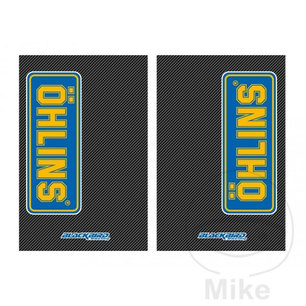 Set di adesivi Forcella BBR 27 x 17 cm Carbonio Öhlins